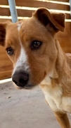KIARA (LUA) Imagen 1